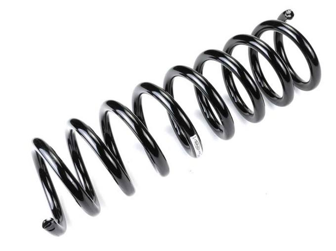 Mercedes Coil Spring - Front 2103212804